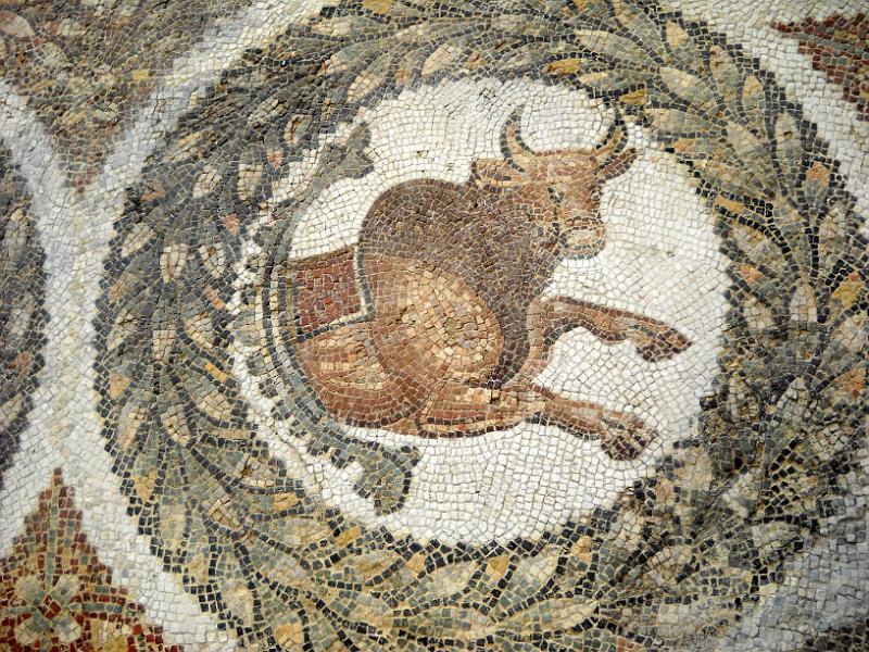 BARDO 00 (16).jpg